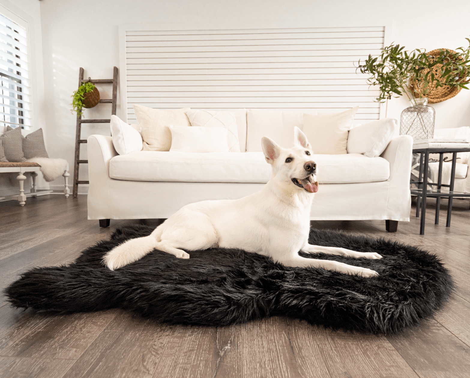 PupRug Faux Fur Orthopedic Dog Bed - Curve Midnight Black Giant (60