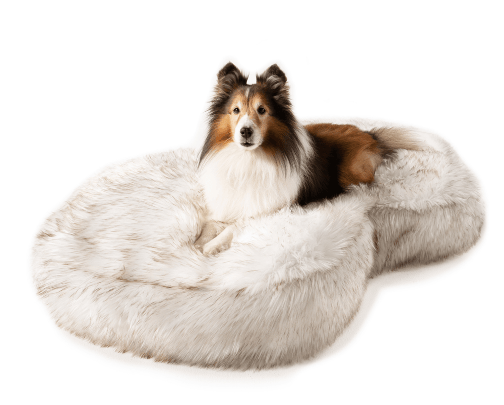 PupCloud™ Faux Fur Memory Foam Dog Bed - Curve White
