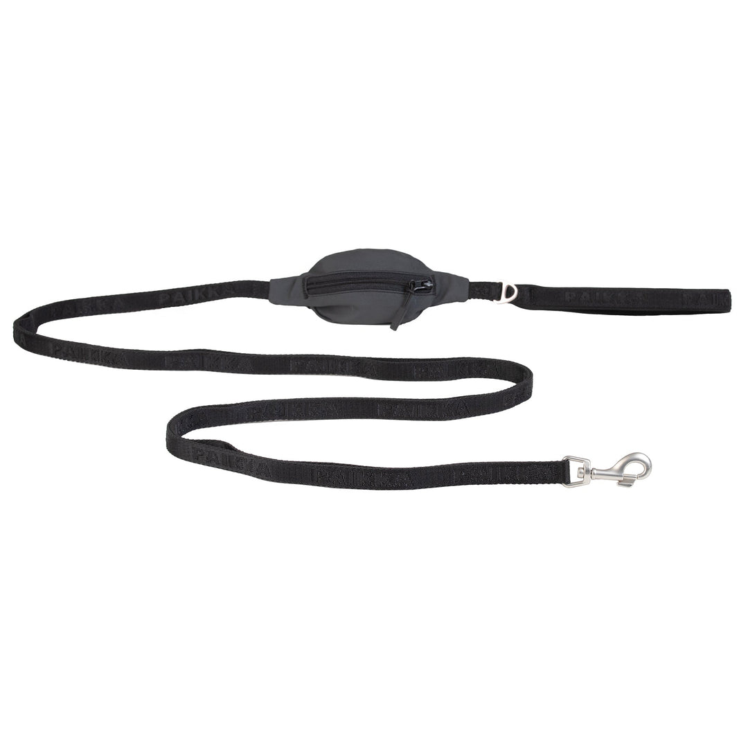 Visibility Leash Dark for Dogs