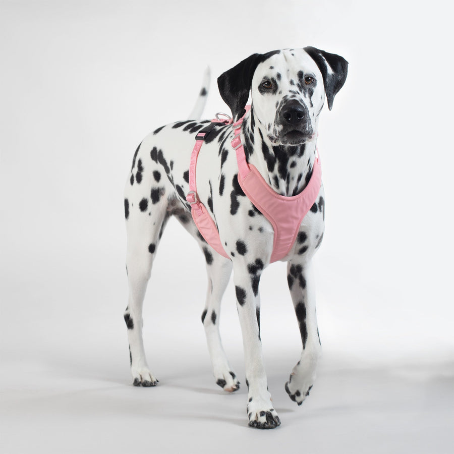 Visibility Harness Pink for Dogs
