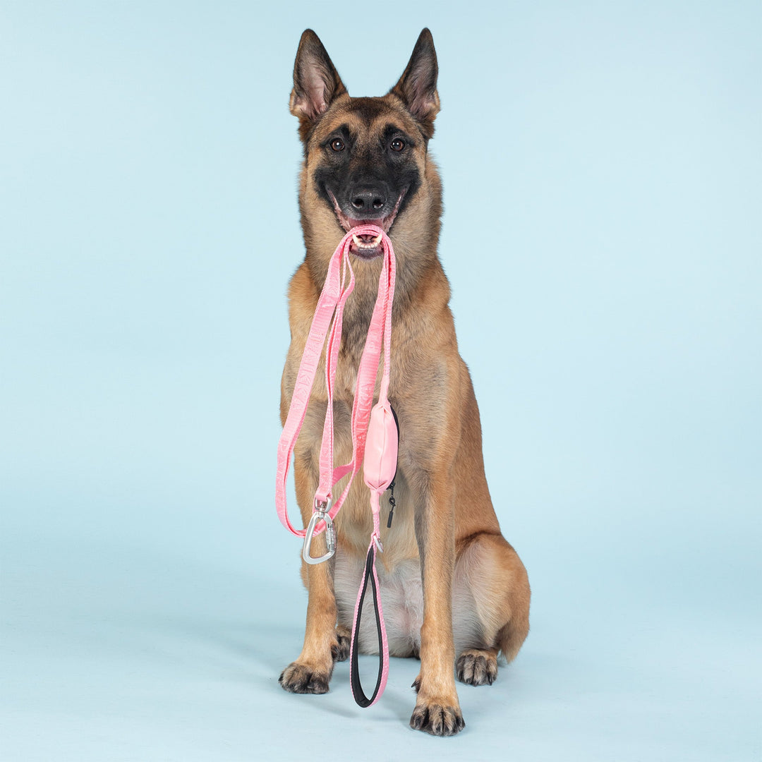 Visibility Leash Pink for Dogs