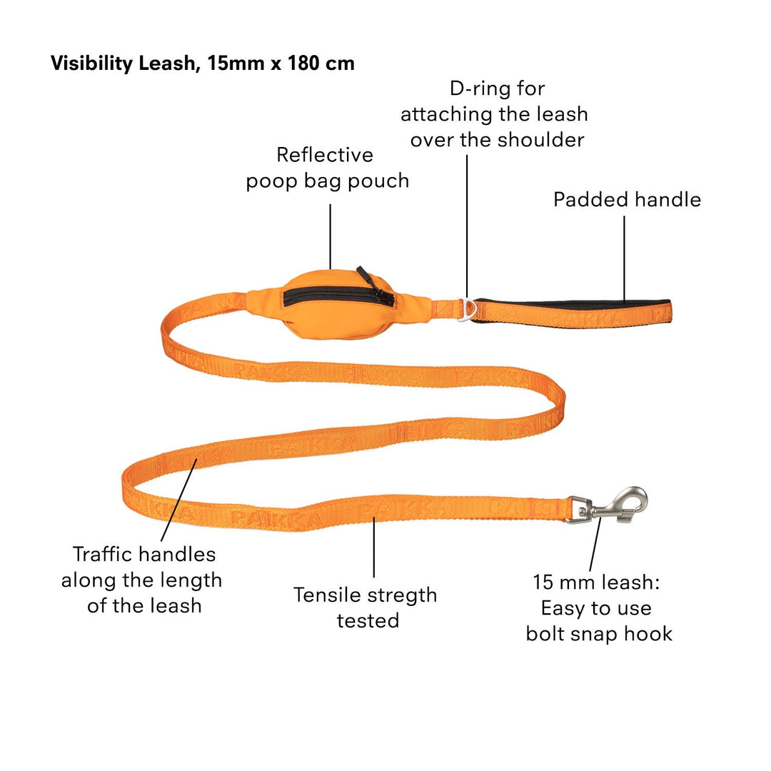 Visibility Leash Orange for Dogs