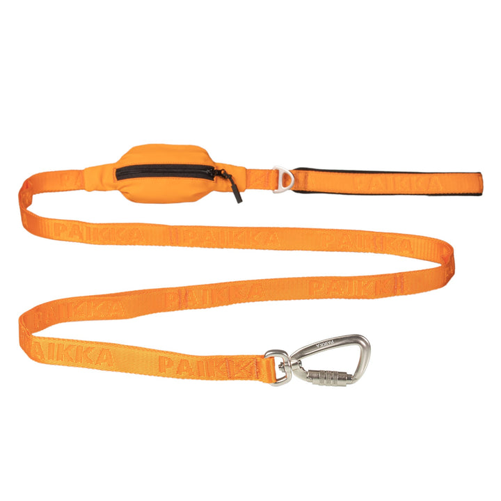 Visibility Leash Orange for Dogs