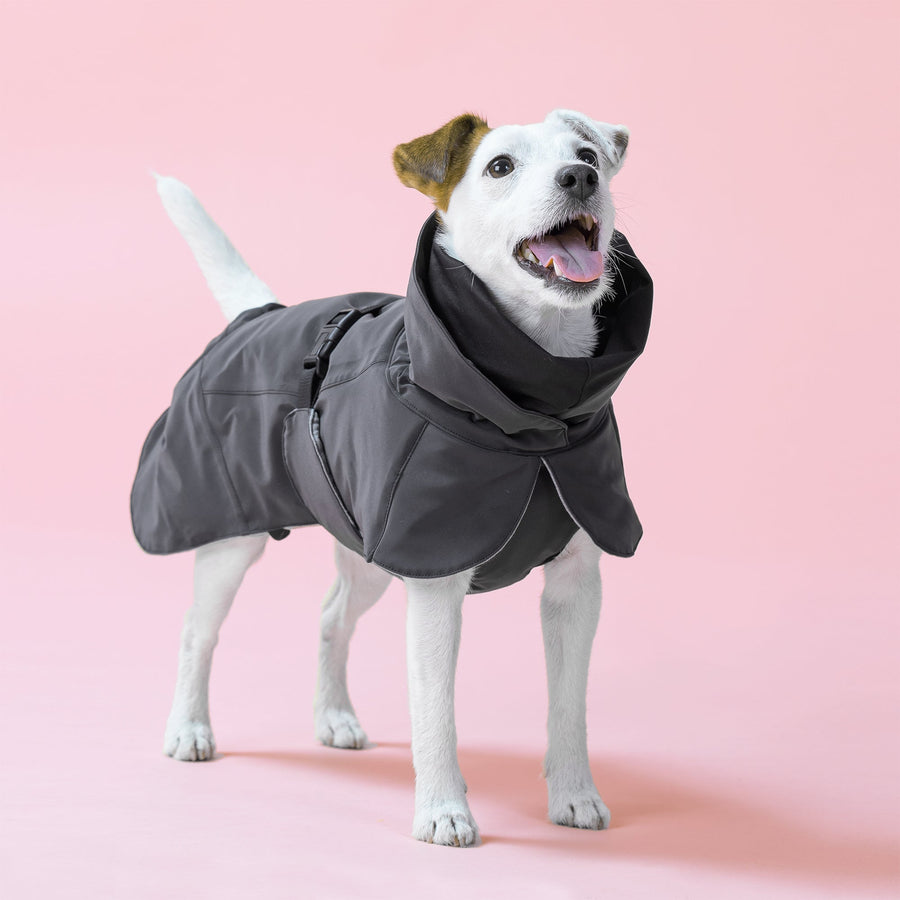 Visibility Winter Jacket Dark for Dogs