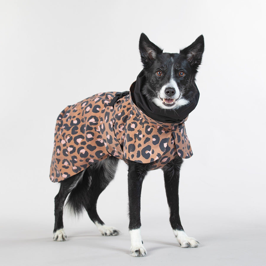 Visibility Raincoat Lite Leo for Dogs