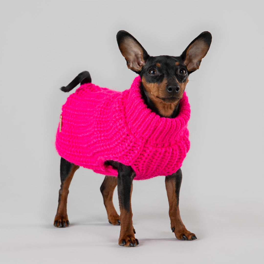 Knit Sweater Hot Pink for Dogs