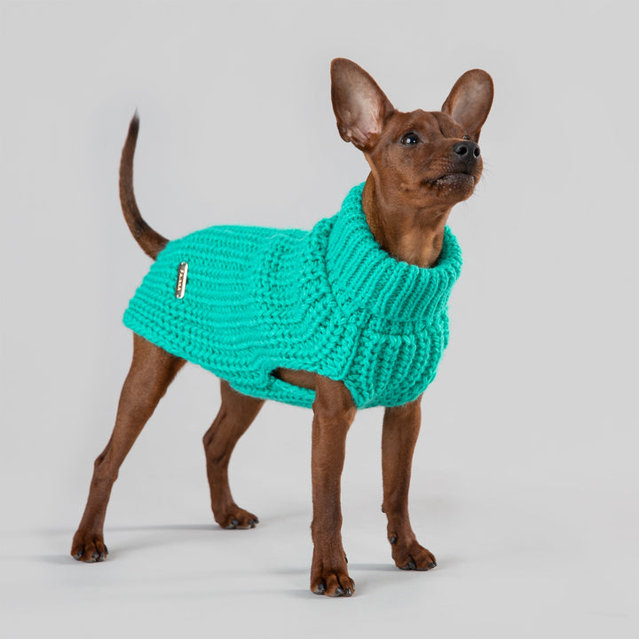 Knit Sweater Green for Dogs