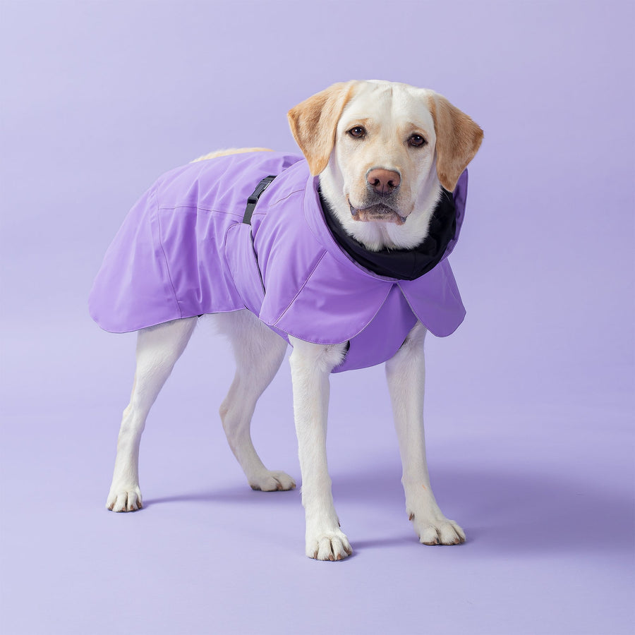 Visibility Winter Jacket Lilac for Dogs