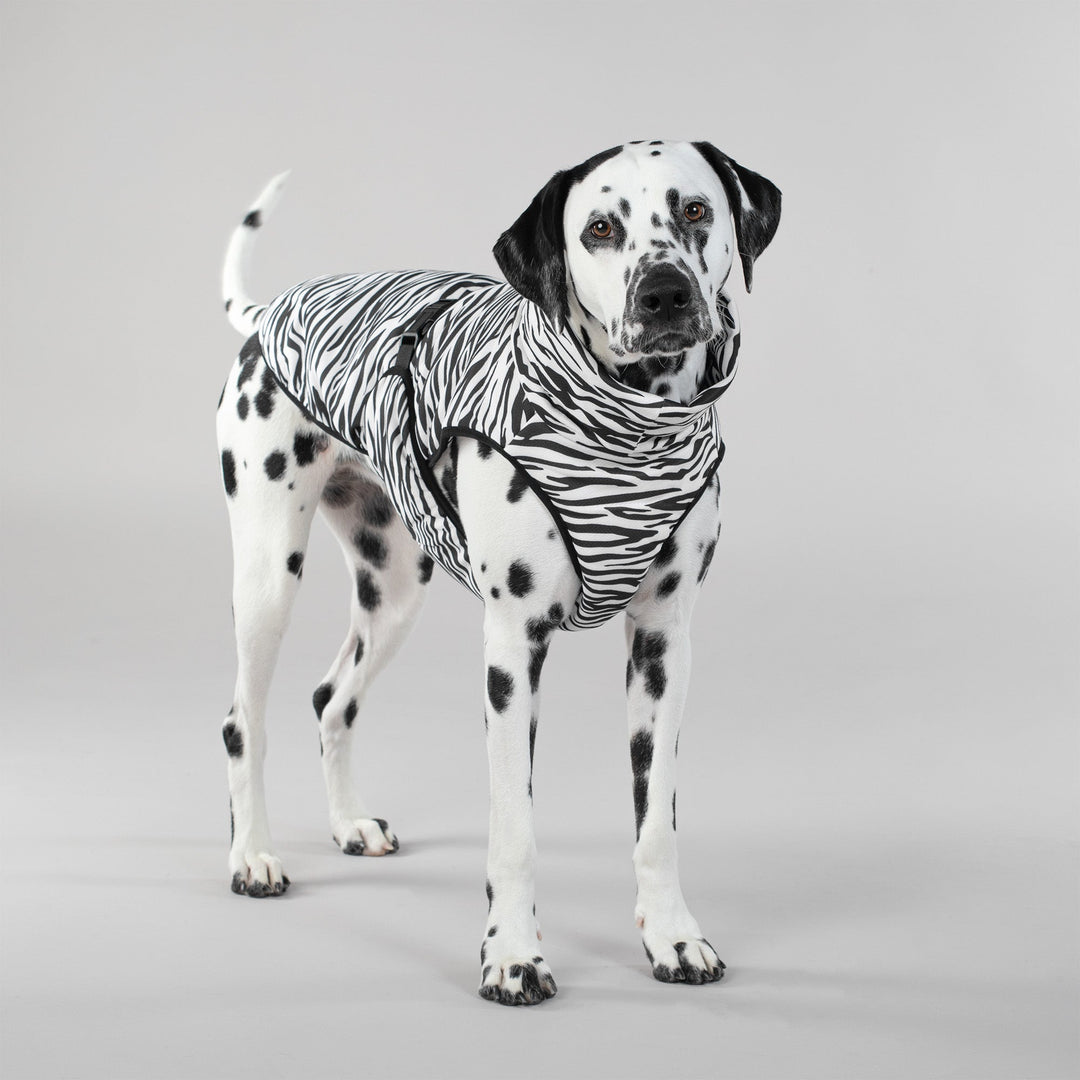 Cool & Bug Vest for Dogs