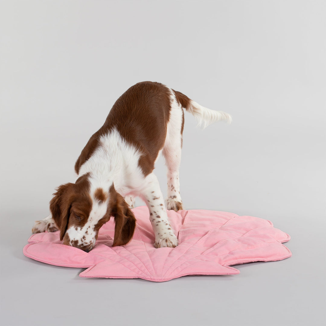 Seashell Playmat for Dogs