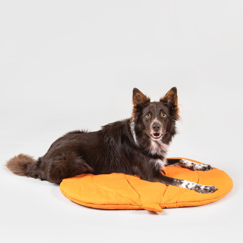 Pumpkin Playmat for Dogs
