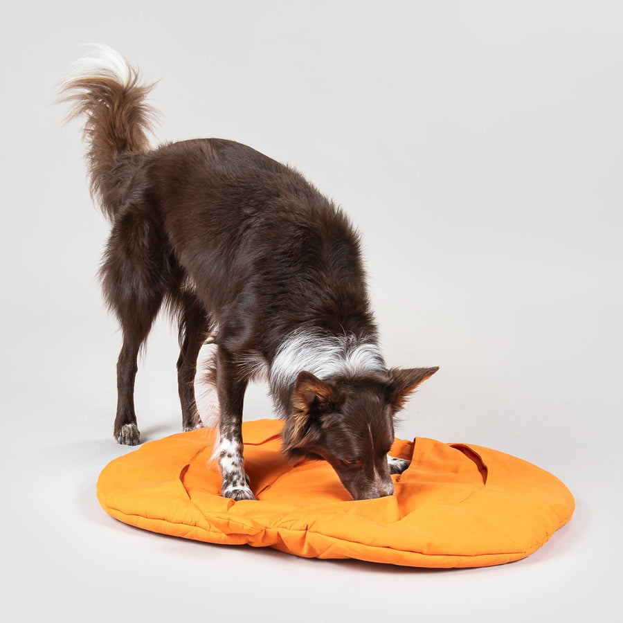 Pumpkin Playmat for Dogs