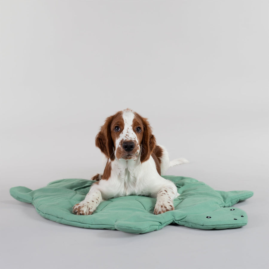 Turtle Playmat for Dogs