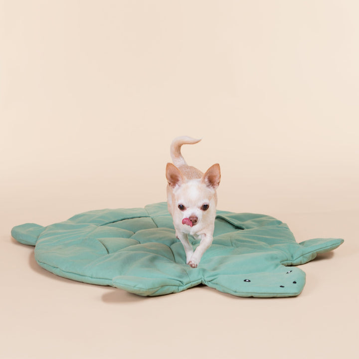 Turtle Playmat for Dogs
