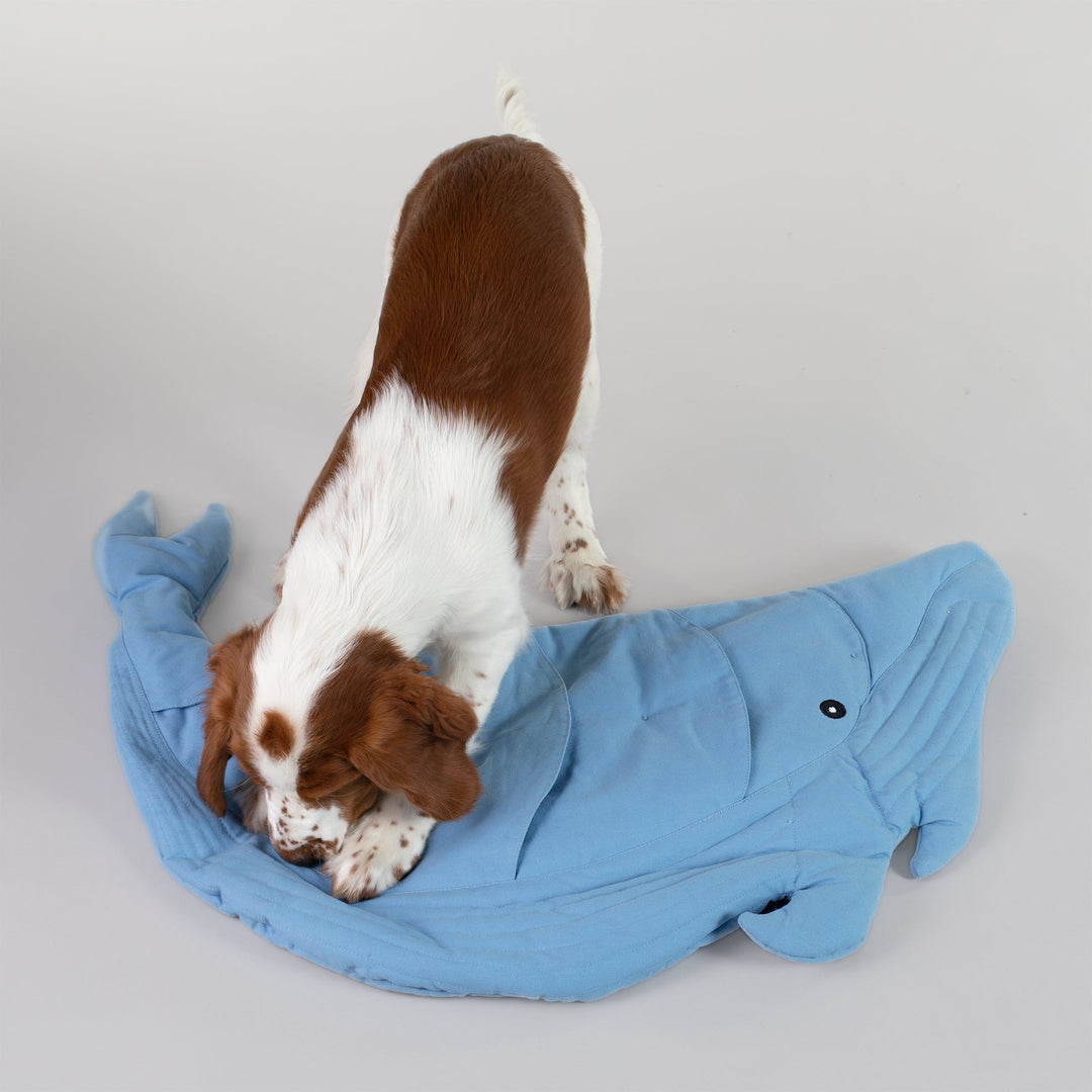 Whale Playmat for Dogs