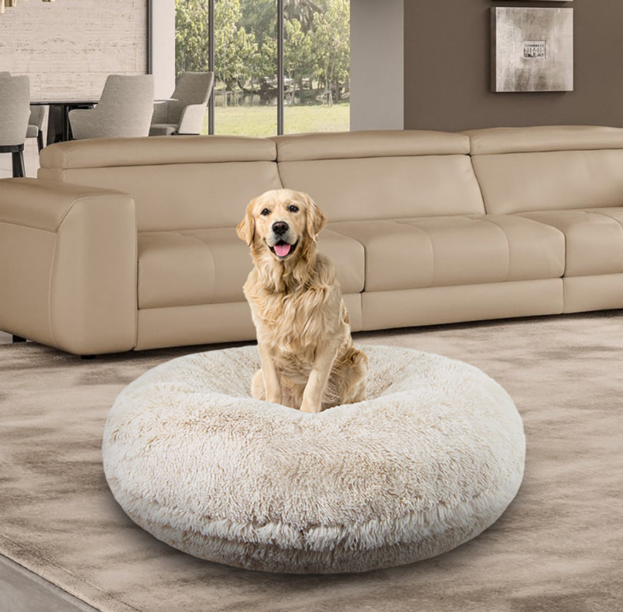 Bagel Dog Bed - Blondie or Customize your Own