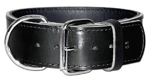 2" Latigo 2-Ply Leather Sporting Dog Collars with D-ring in Front