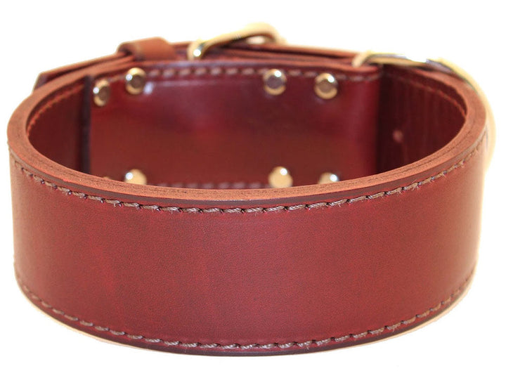 2" Latigo 2-Ply Leather Sporting Dog Collars with D-ring in Front
