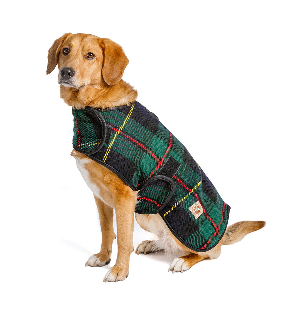 Navy Tartan Plaid Blanket Dog Coat