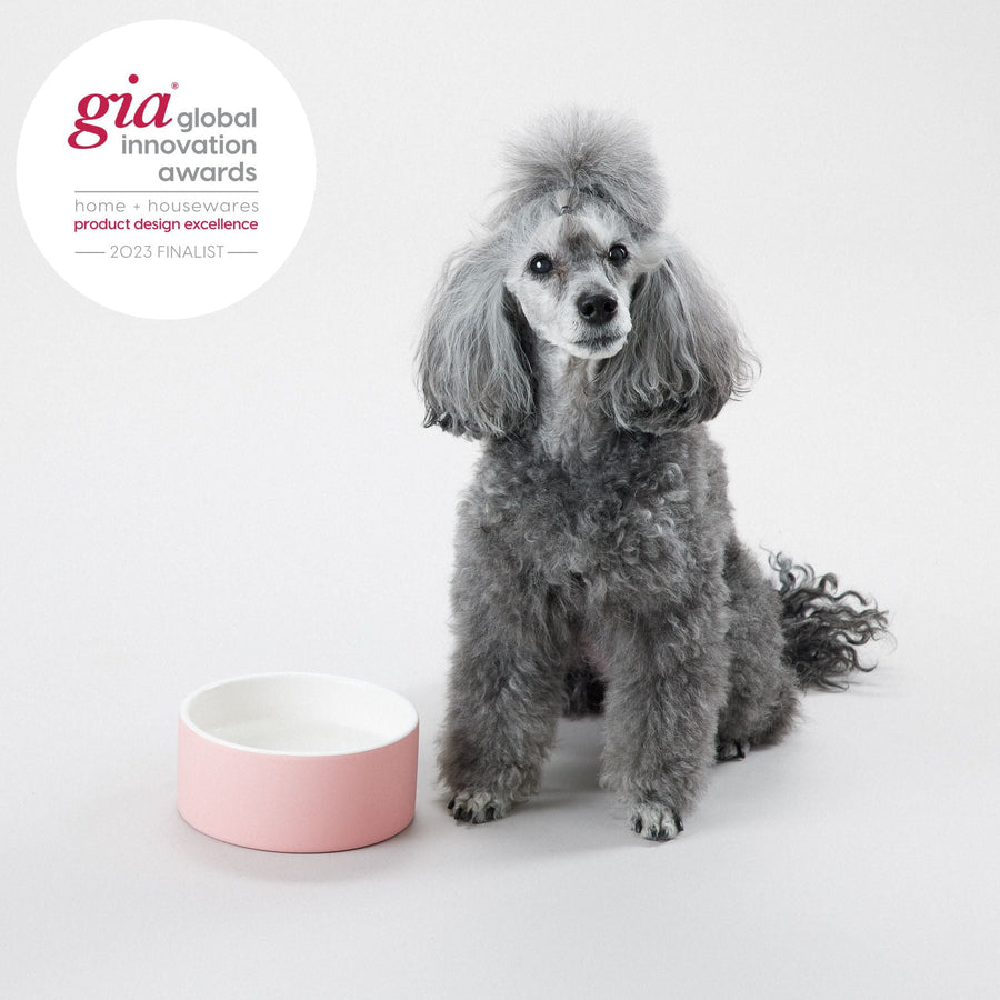 Cool Bowl Pink M for Dogs