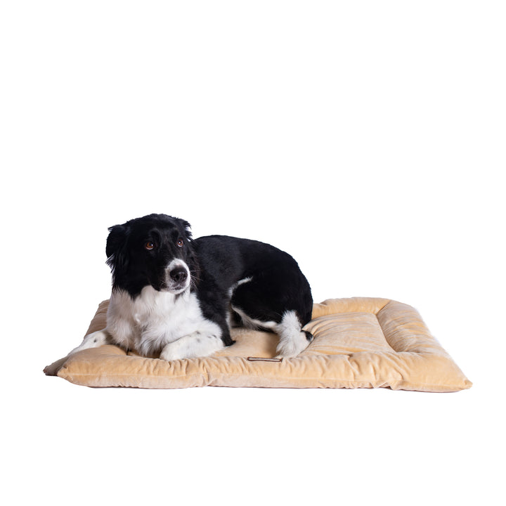 Armarkat M01CMH-L Large Pet Bed Mat , Dog Crate Soft Pad  With Poly Fill Cushion, Beige