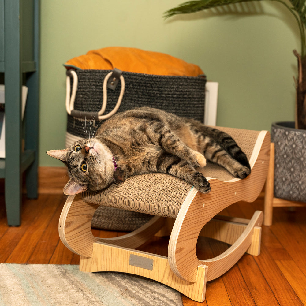 Armarkat Real Wood Medium Wooden Cat Rocking Chair, Detachable Cat Swing Chair