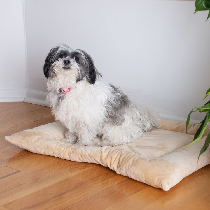 Armarkat M01CMH-M Medium  Pet Bed Mat , Dog Crate Soft Pad  With Poly Fill Cushion, Beige
