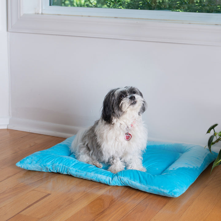 Armarkat M01CTL-M Medium Pet Bed Mat , Dog Crate Soft Pad With Poly Fill Cushion, Sky Blue