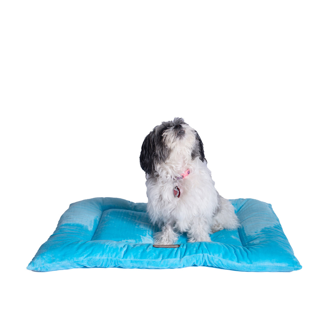 Armarkat M01CTL-M Medium Pet Bed Mat , Dog Crate Soft Pad With Poly Fill Cushion, Sky Blue