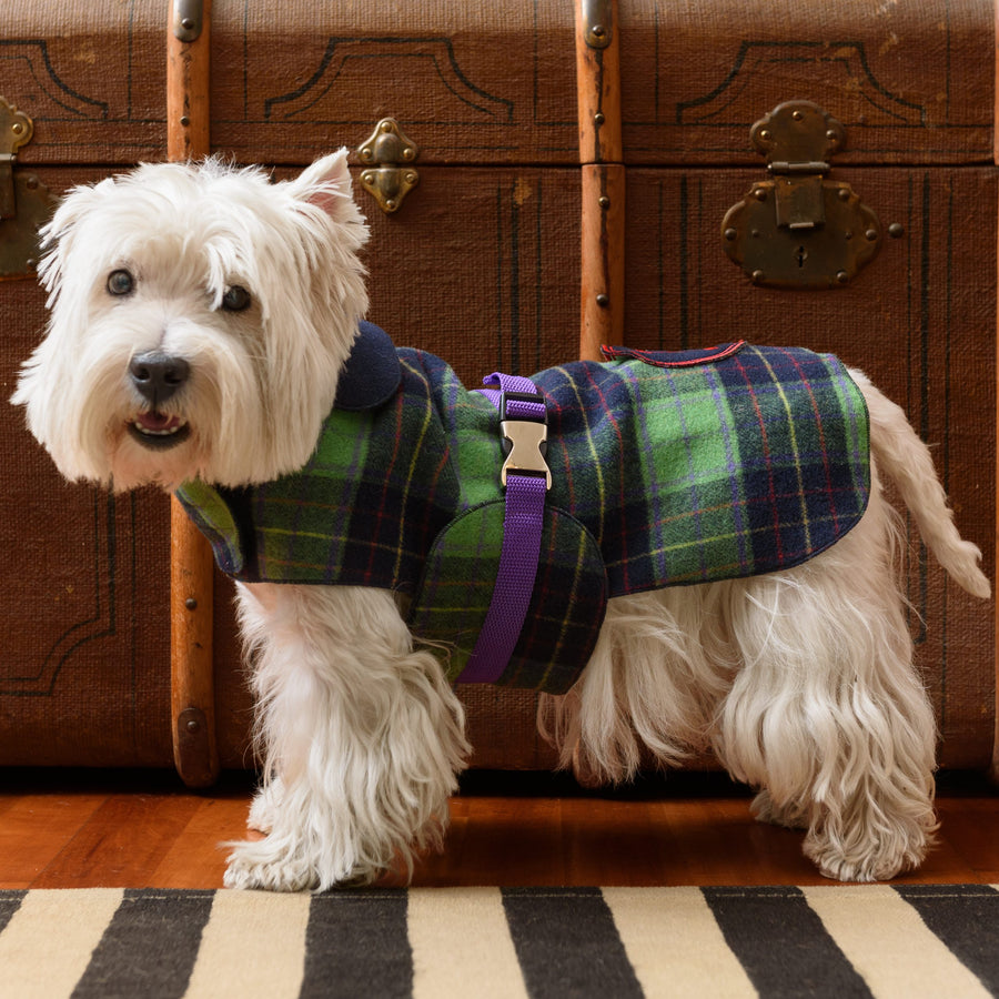 Bespoke And Personalized Dog Coat Made Of Pure Tartan Wool Emma Firenze