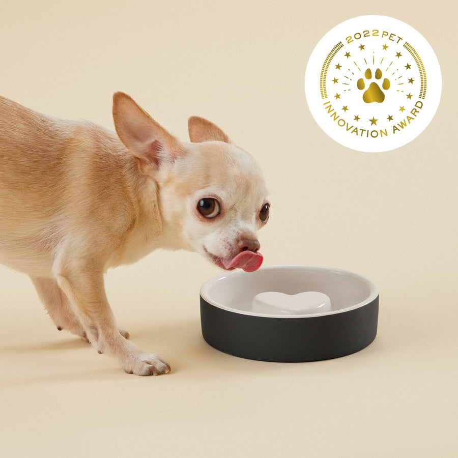 Slow Feed Bowl Black XS for Dogs