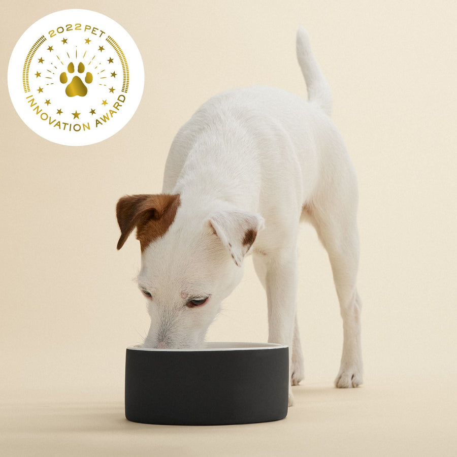 Slow Feed Bowl Black M for Dogs