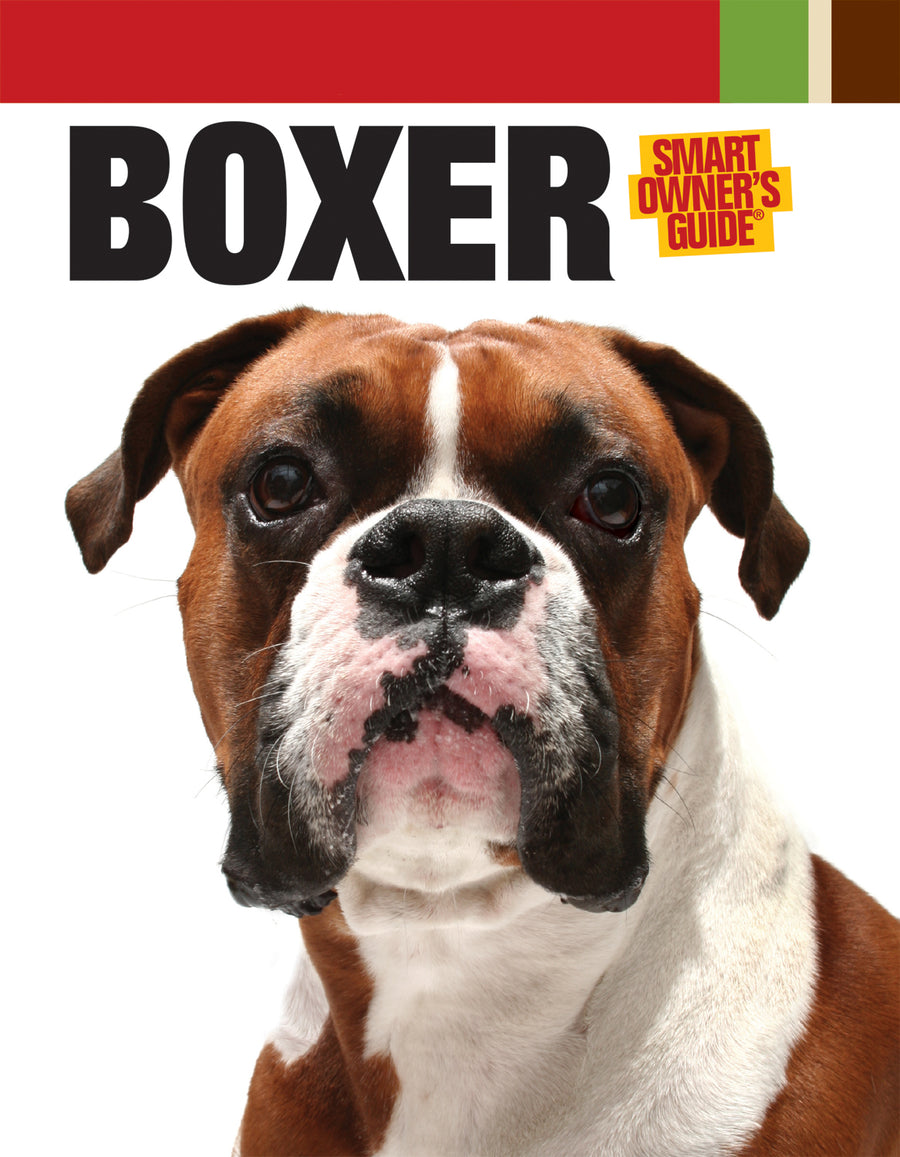 Boxer Paperback Publication: 2010/03/02