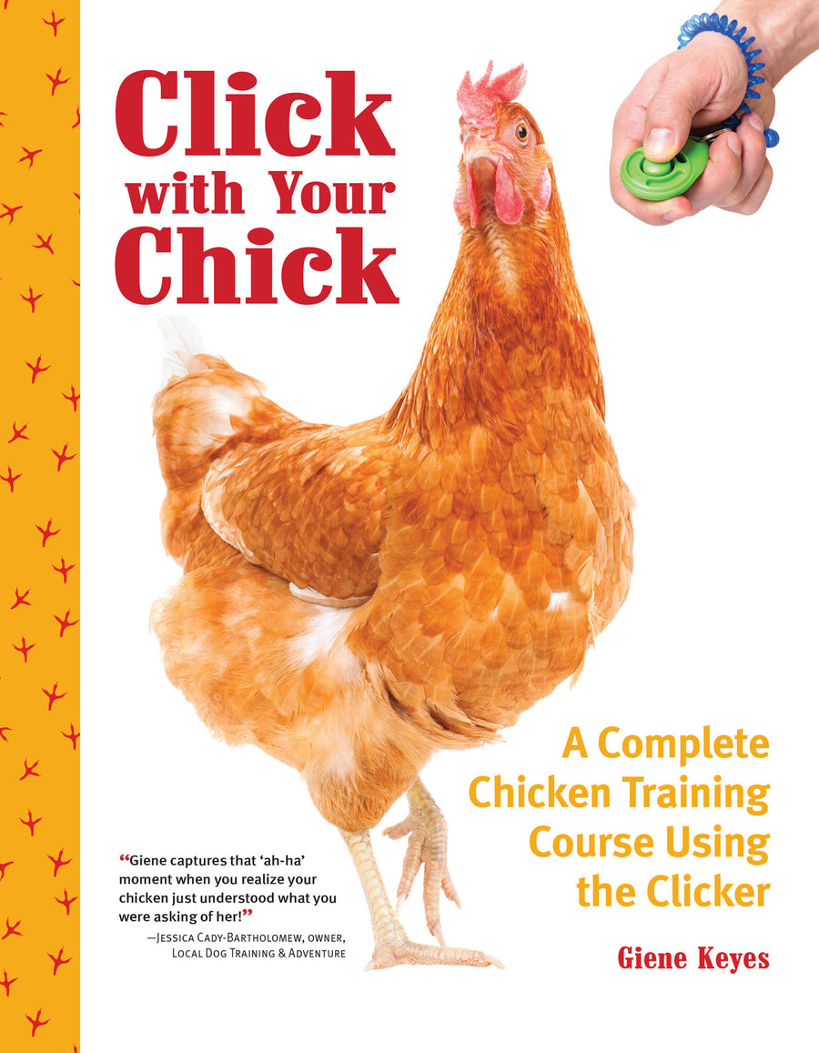 Click with Your Chick Paperback Publication: 2019/08/13