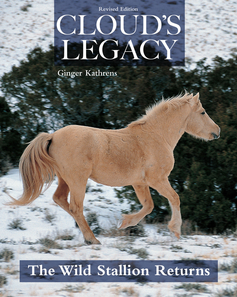 Cloud's Legacy Paperback Publication: 2019/11/12