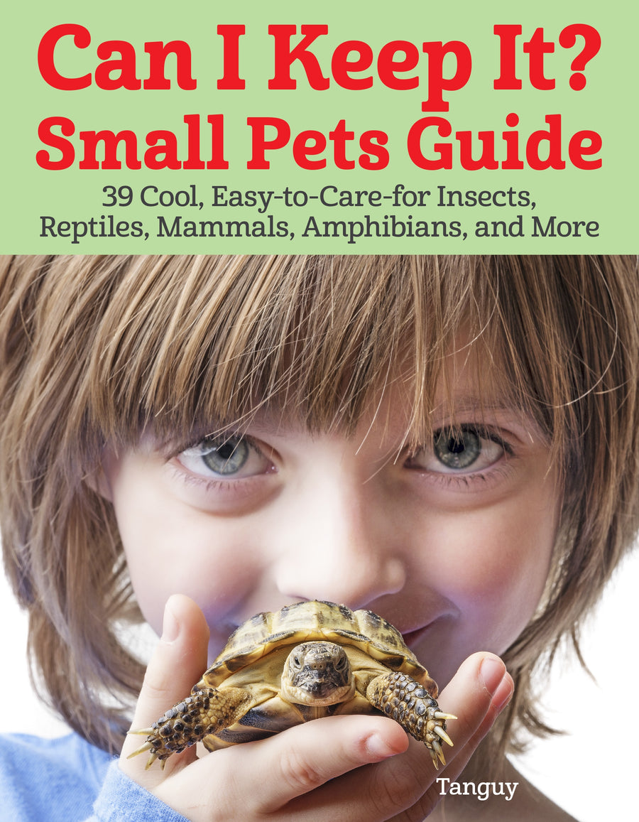 Can I Keep It? Small Pets Guide Paperback Publication: 2020/05/12