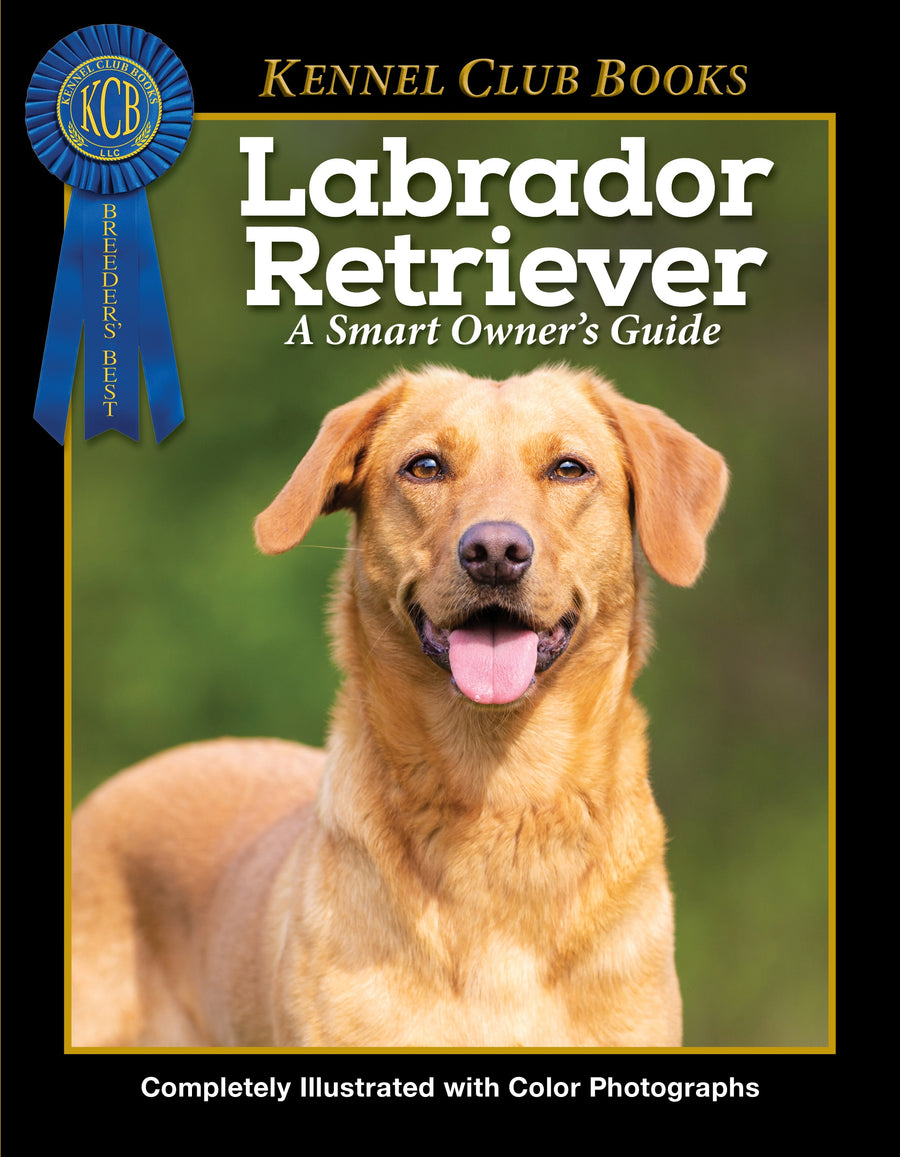 Labrador Retriever Paperback Publication: 2023/02/14
