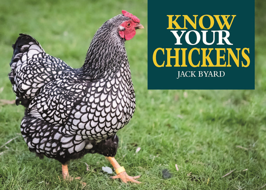 Know Your Chickens Paperback Publication: 2019/11/12