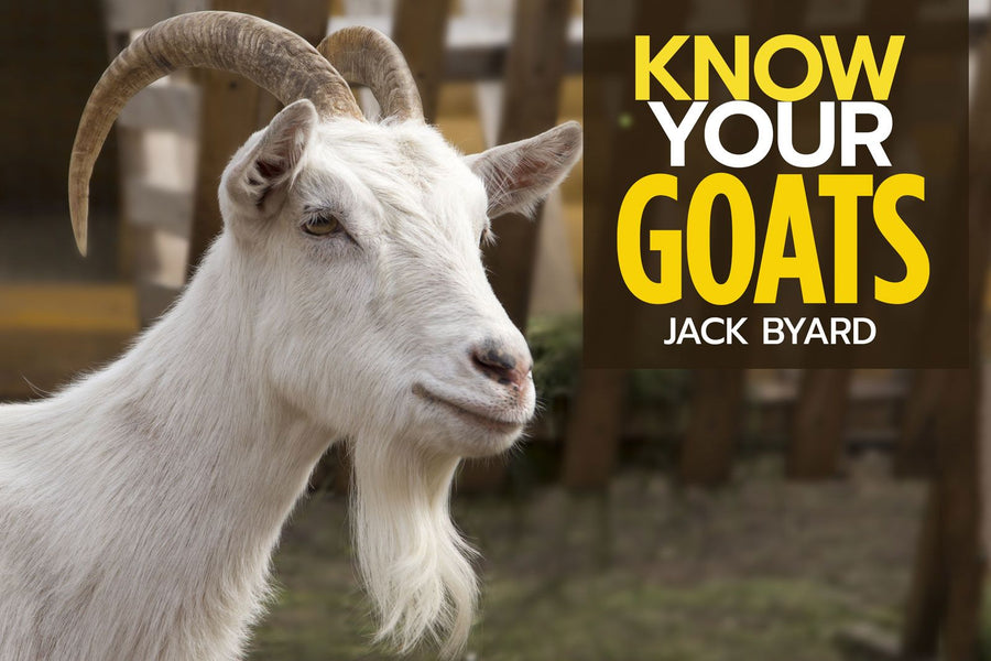 Know Your Goats Paperback Publication: 2019/11/12