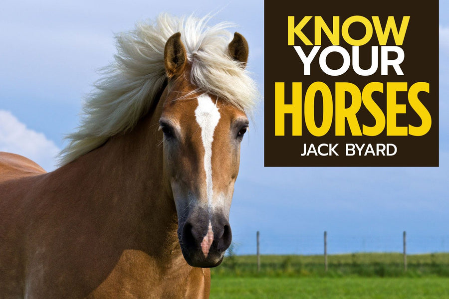 Know Your Horses Paperback Publication: 2020/01/07