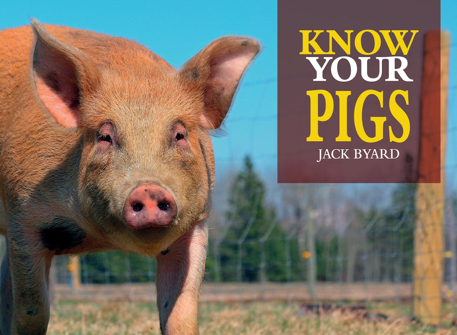 Know Your Pigs Paperback Publication: 2020/03/17