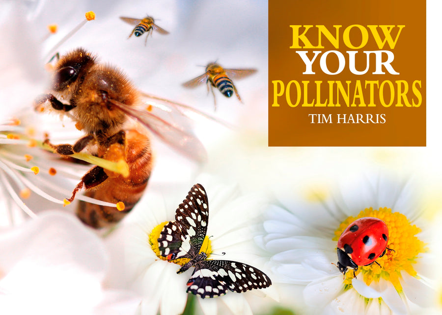 Know Your Pollinators Paperback Publication: 2020/03/17