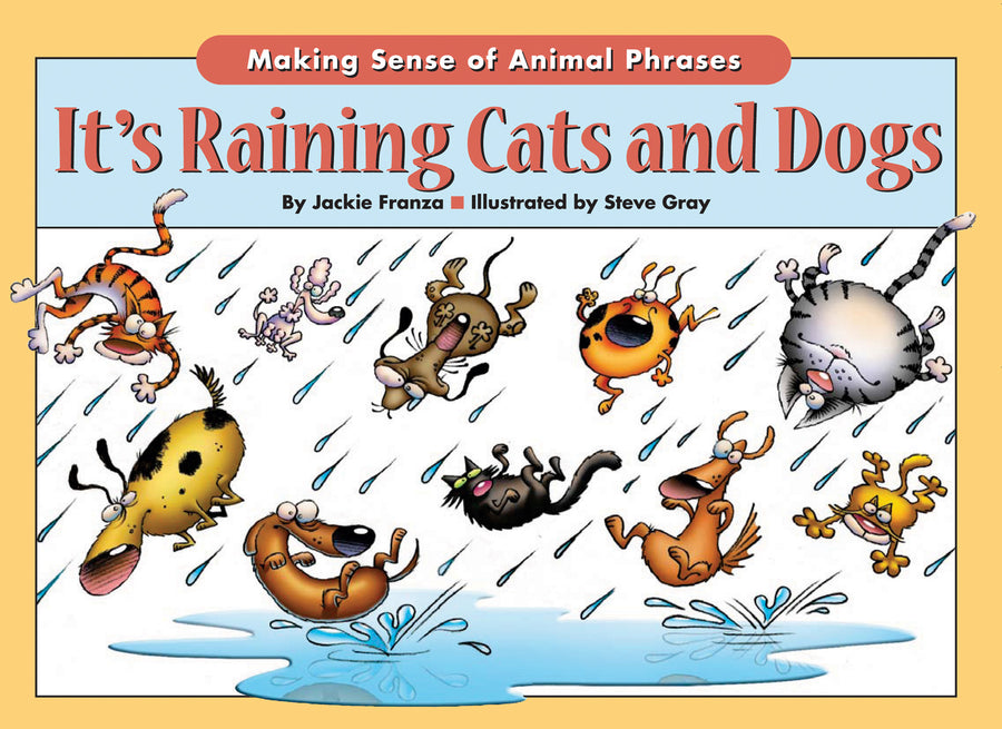 It's Raining Cats & Dogs Paperback Publication: 2006/05/01