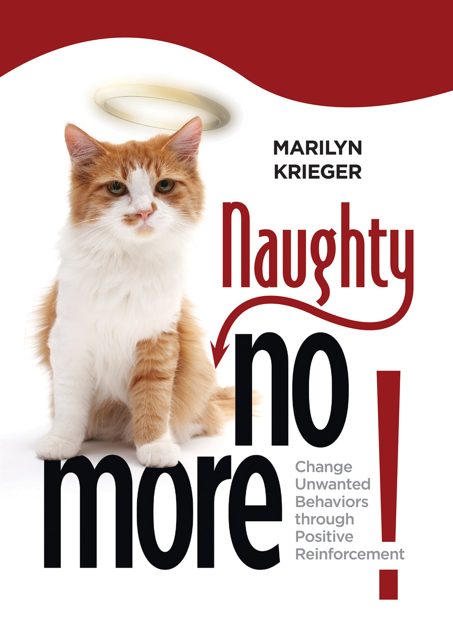 Naughty No More! Paperback Publication: 2011/01/11