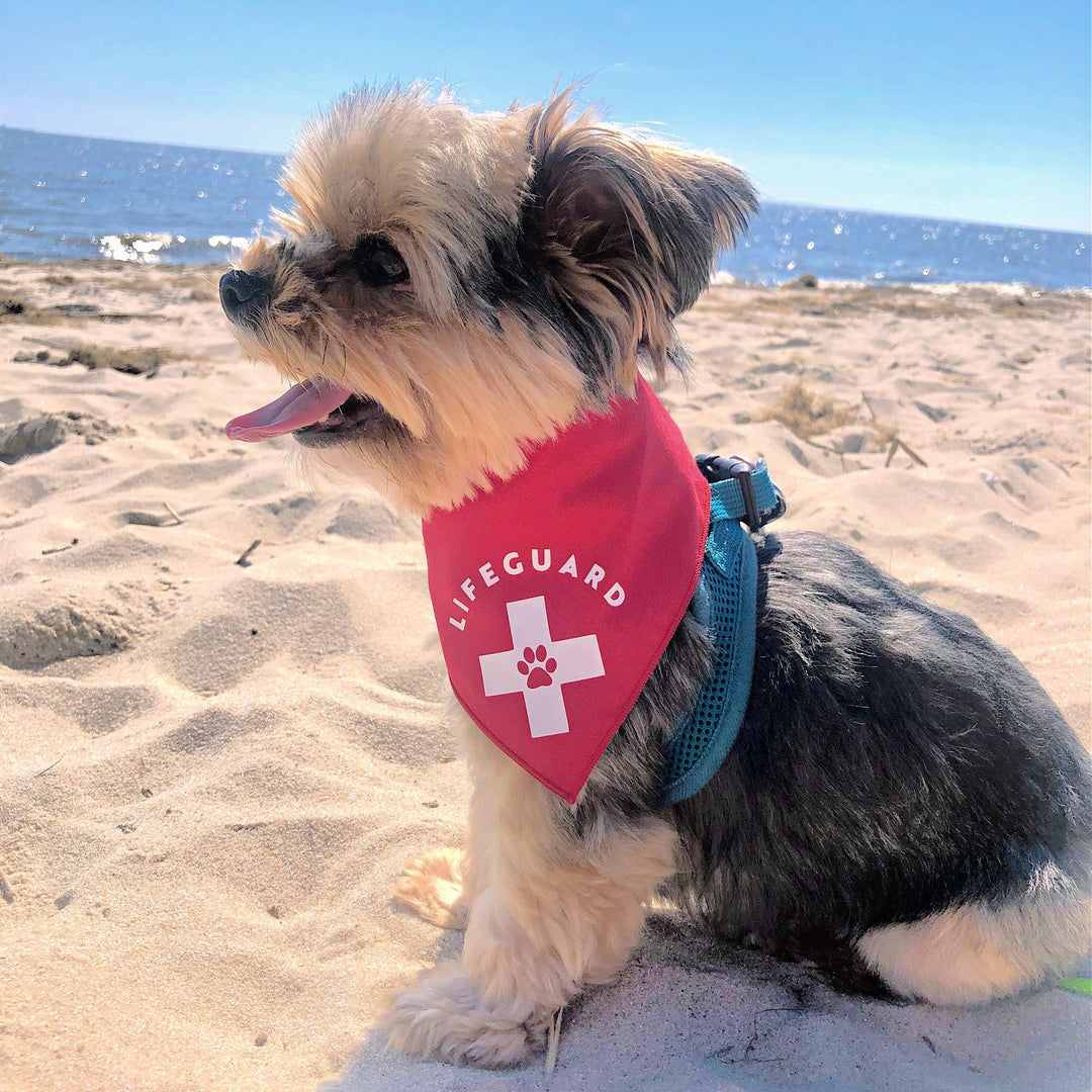 Fido Pet Lifeguard Dog Bandana