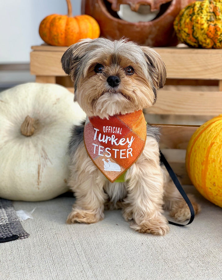 Official Turkey Tester Luxe Flannel Dog Bandana