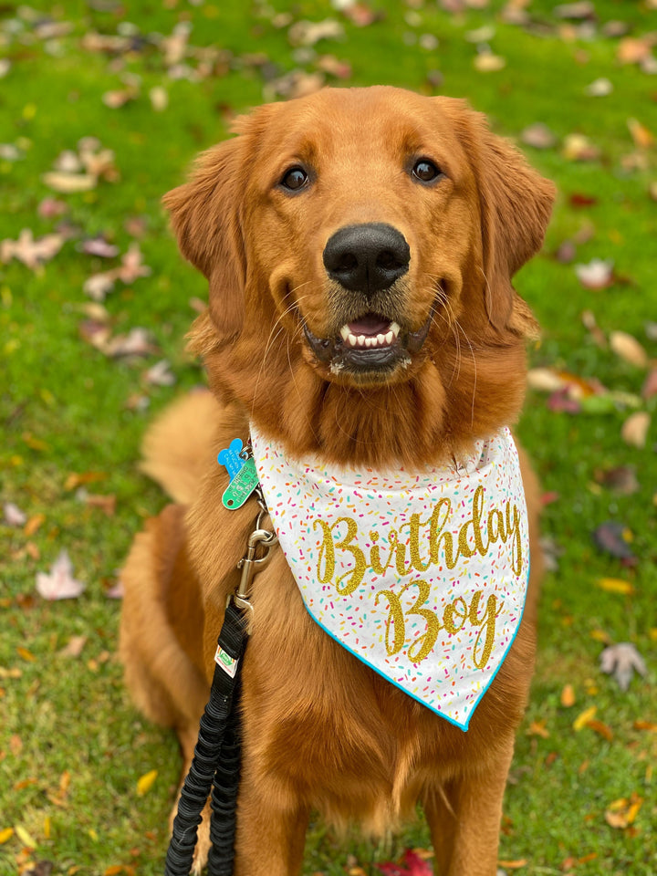 Happy Birthday Boy or Girl Tie Dog Bandana