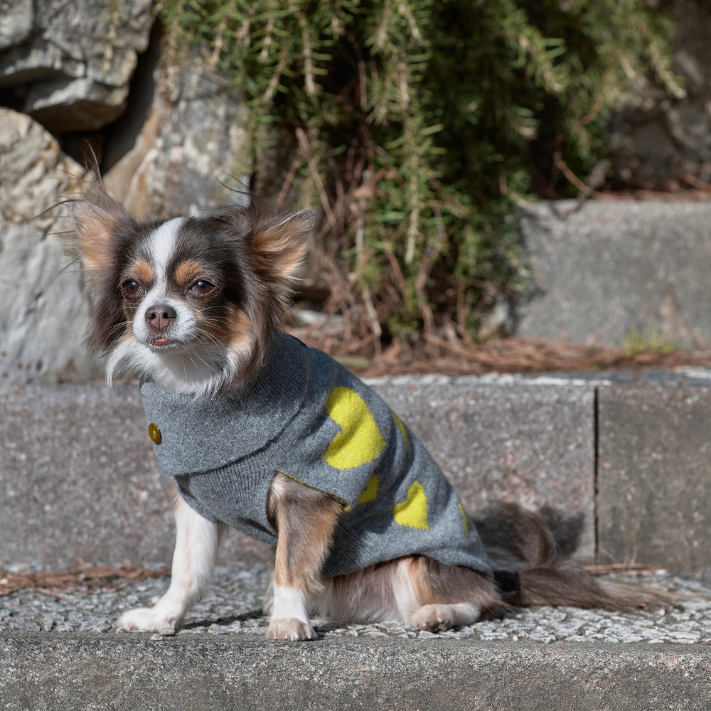 Dog Sweater In Gray And Yellow Wool And Cashmere With Hearts Motif Emma Firenze
