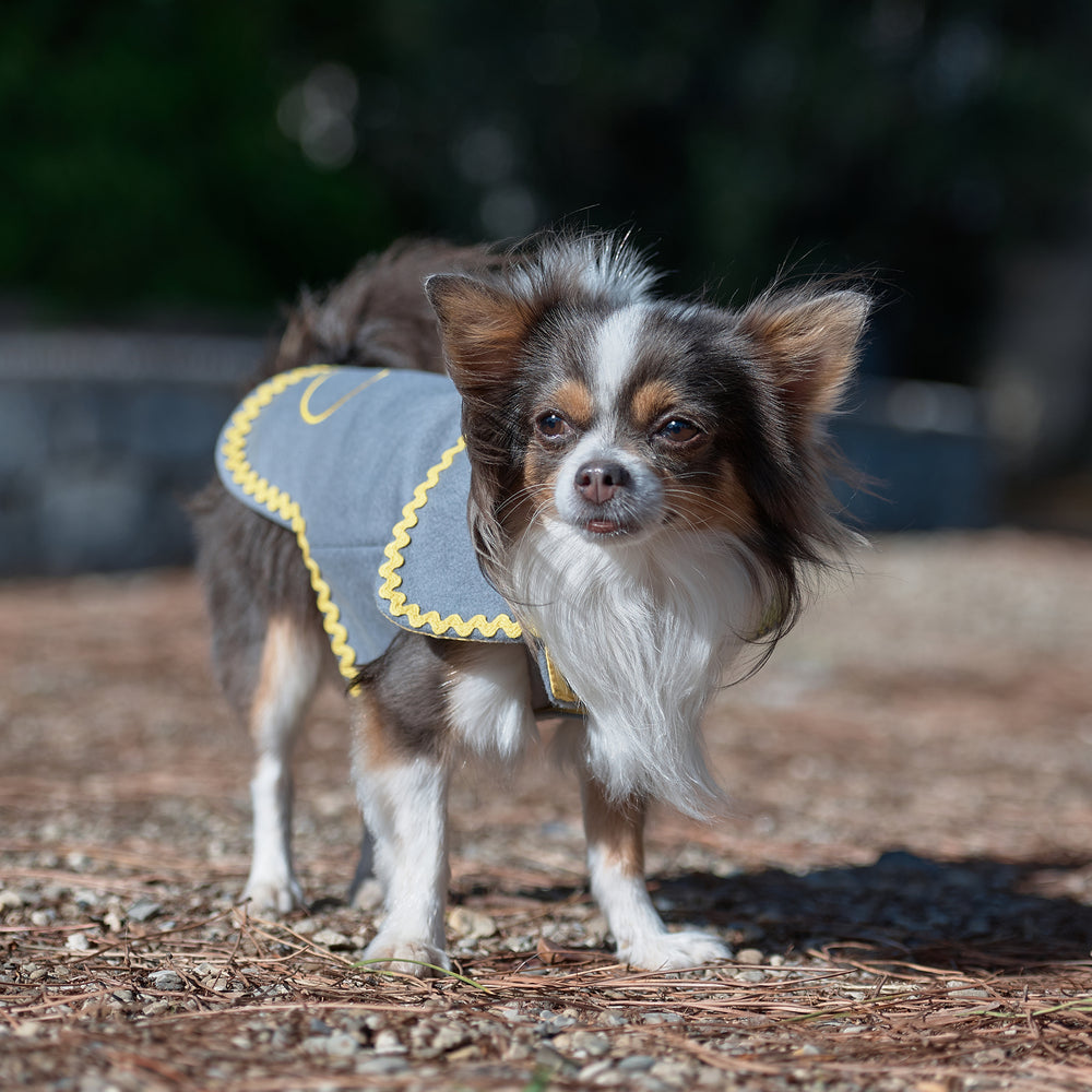 Bespoke Coat For Dogs In Double-Face Gray Cashmere With Waterproof Side Emma Firenze