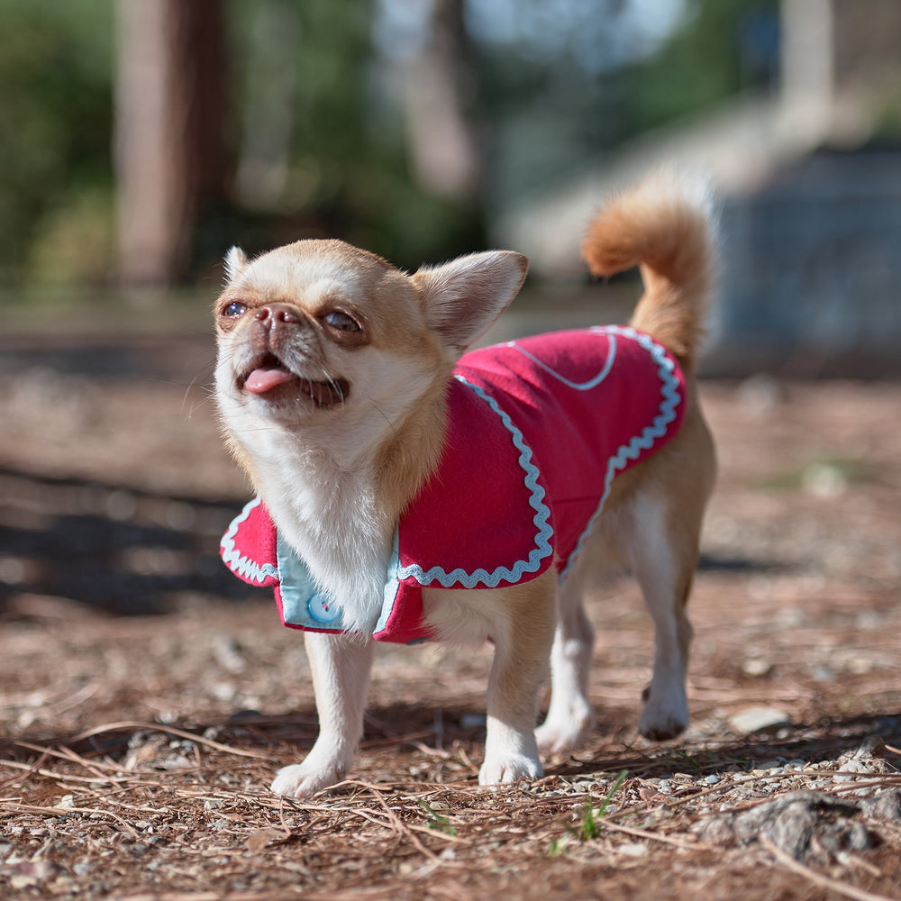 Bespoke Coat For Dogs In Double-Face Fuchsia Cashmere With Waterproof Side Emma Firenze
